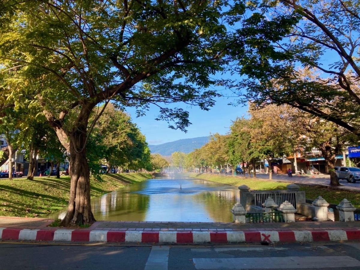 Triple Palms House Hotell Chiang Mai Eksteriør bilde