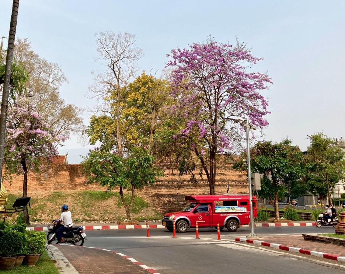 Triple Palms House Hotell Chiang Mai Eksteriør bilde